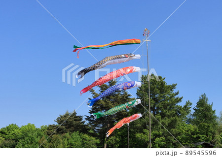鯉のぼり 端午の節句 皐月の空 青空に泳ぐ鯉のぼり 鯉のぼり 端午の節句 皐月の空 青空に泳ぐ鯉のぼり 89545596