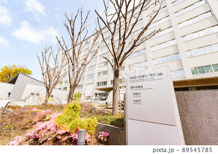 農林水産省　林野庁　水産庁　（被写体の敷地外である公道から撮影しています） 89545785