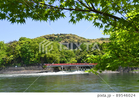 京都府の宇治川に架かる観流橋と新緑の大吉山が美しい 89546024