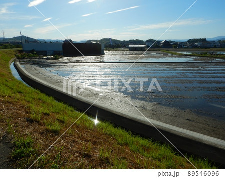 田んぼに水が入る 89546096