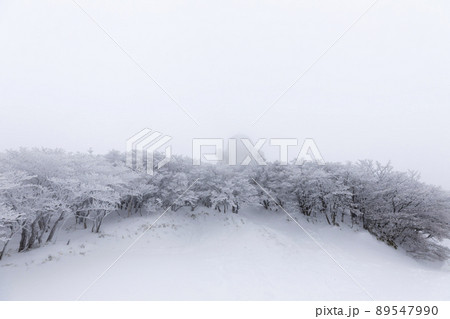 雪の御在所岳 89547990