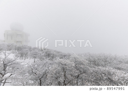 雪の御在所岳 雪の御在所岳 89547991