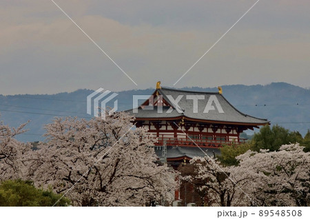 平城京の春 89548508