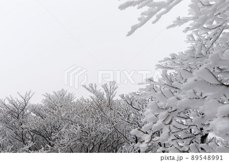 雪の御在所岳 89548991