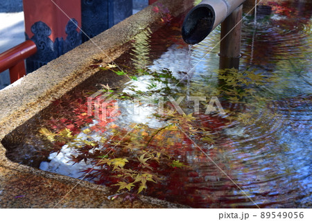 鶴岡八幡宮の手水舎 89549056