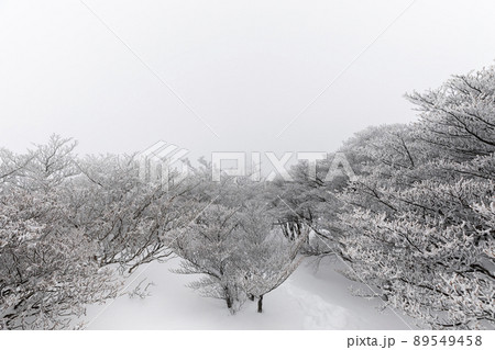 雪の御在所岳 89549458