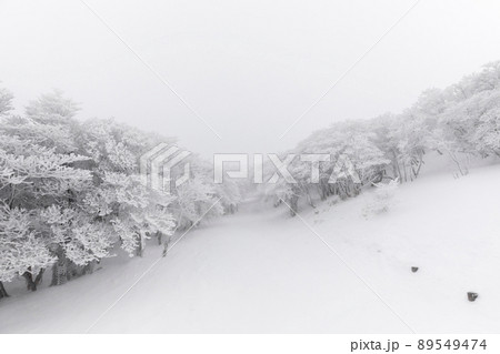 雪の御在所岳 89549474