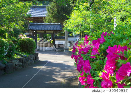 【重伝建地区】【日本遺産】小浜西組 初夏の高成寺参道の風景3 福井県小浜市 【重伝建地区】【日本遺産】小浜西組 初夏の高成寺参道の風景3 福井県小浜市 89549957