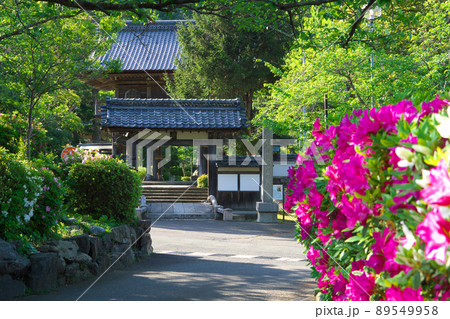 【重伝建地区】【日本遺産】小浜西組　初夏の高成寺参道の風景4　福井県小浜市 89549958