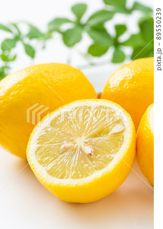 レモン レモン 89550239