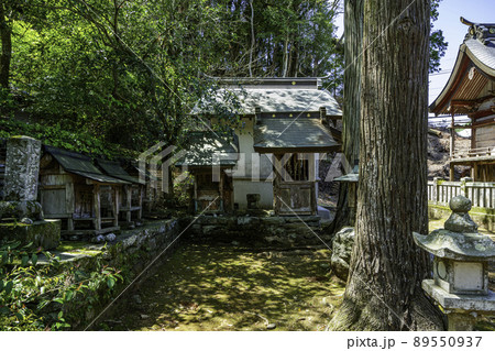 一宮神社　摂末社　徳島県徳島市 89550937