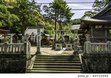一宮神社 注連柱 徳島県徳島市 一宮神社 注連柱 徳島県徳島市 89550999