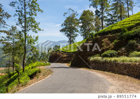 Road on Sri Lanka Road on Sri Lanka 89551774