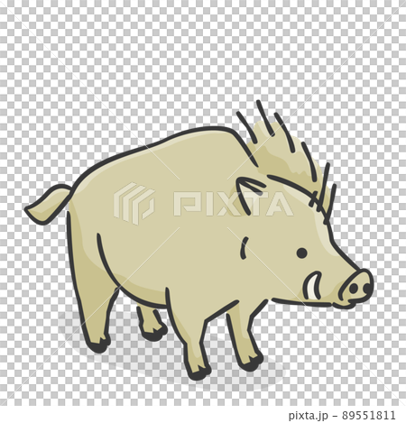 Fashionable wild boar (illustration icon) Fashionable wild boar (illustration icon) 89551811