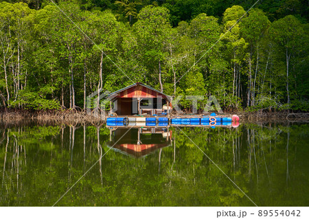 A floating fish farm on the island of Langkawi in Malaysia A floating fish farm on the island of Langkawi in Malaysia 89554042