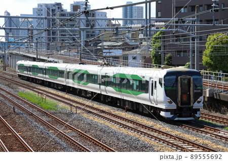 臨時特急あしかが大藤まつり(E257系5500番台) 臨時特急あしかが大藤まつり(E257系5500番台) 89555692