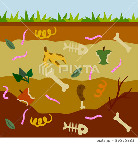 Compost soil. Layer of earth in section with worms. Farming and food waste. Ecological humus. Compost soil. Layer of earth in section with worms. Farming and food waste. Ecological humus. 89555833