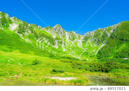 夏の千畳敷カール【長野県】 89557021