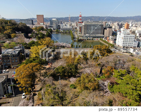 和歌山市の中心地、和歌山城公園の空撮 89557734