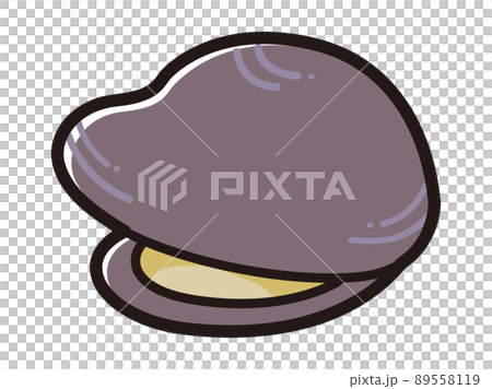 Illustration of freshwater clam 89558119