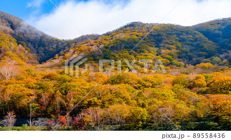 秋の赤城山 89558436