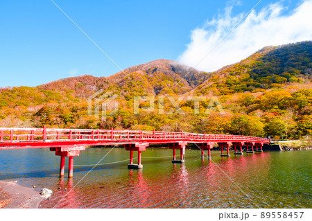 秋の赤城山：啄木鳥橋 89558457