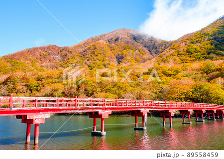 秋の赤城山：啄木鳥橋 89558459