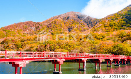 秋の赤城山：啄木鳥橋 89558460