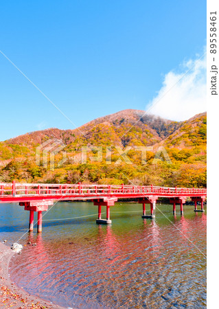 秋の赤城山：啄木鳥橋 89558461