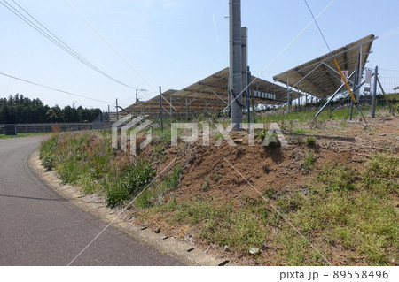 雑草が生い茂った太陽光発電所 雑草が生い茂った太陽光発電所 89558496