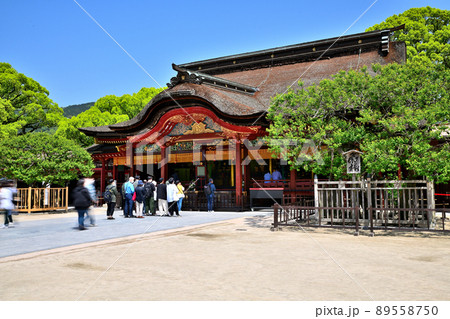 福岡県 太宰府天満宮 本殿 福岡県 太宰府天満宮 本殿 89558750