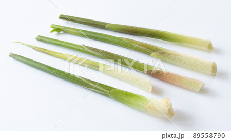 ミョウガタケ 89558790