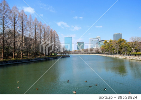 大阪城公園 89558824