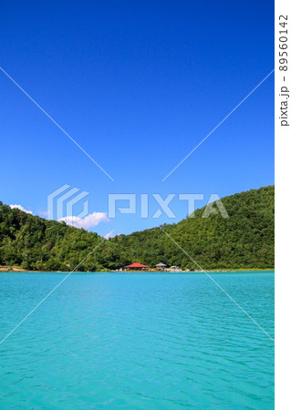 潟沼 潟沼 89560142