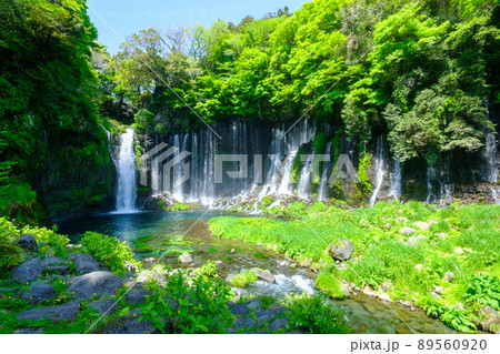 白糸の滝（富士宮市） 89560920
