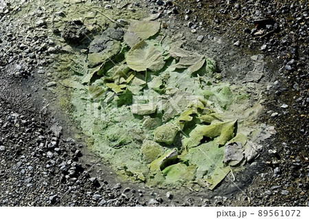 湯本温泉の噴出する源泉 89561072