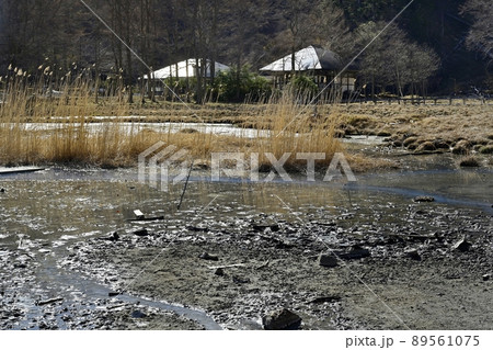 湯本温泉の源泉と湯ノ平湿原 89561075