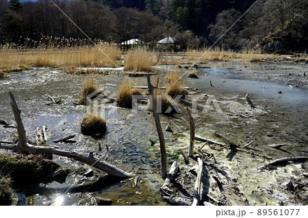 湯本温泉の源泉と湯ノ平湿原 89561077