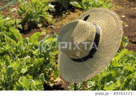 畑仕事に麦わら帽子 89561221