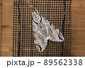 羽化直後のシモフリスズメ、大型の昆虫 89562338