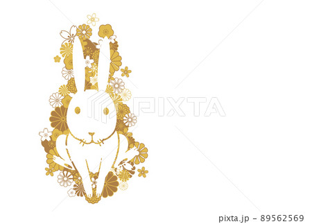 卯年　年賀状 　うさぎのイラスト 89562569