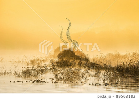 大清湖 朝焼け 日の出 89563182