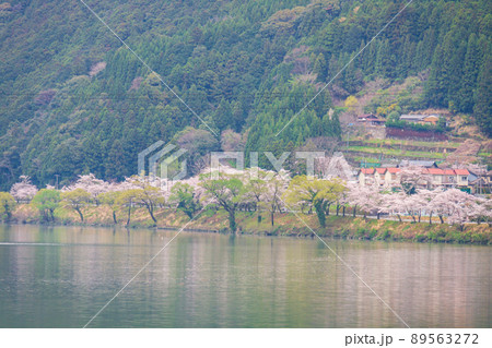 静岡県浜松市天竜区龍山町　秋葉ダムとダム周辺の風景 89563272