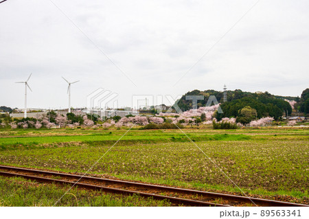 静岡県磐田市合代島 新平山工業団地周辺の風景 静岡県磐田市合代島 新平山工業団地周辺の風景 89563341