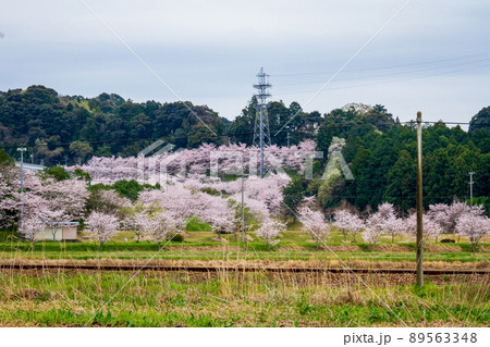静岡県磐田市合代島 新平山工業団地周辺の風景 静岡県磐田市合代島 新平山工業団地周辺の風景 89563348