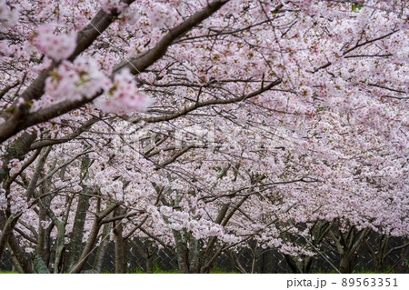 静岡県磐田市合代島 新平山工業団地周辺の風景 静岡県磐田市合代島 新平山工業団地周辺の風景 89563351