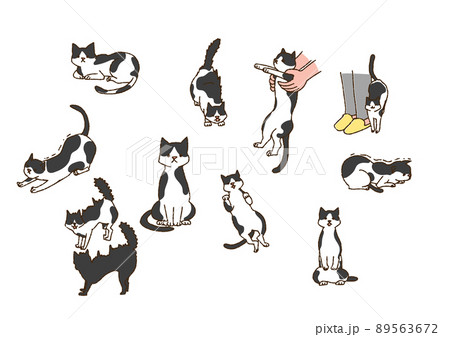 いろいろな猫のポーズ　人間と暮らす幸福なペット　温かみのある手書きの動物 89563672