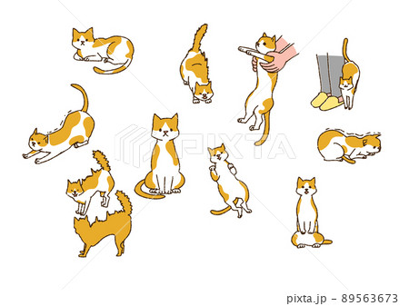 いろいろな猫のポーズ 人間と暮らす幸福なペット 温かみのある手書きの動物のイラスト素材