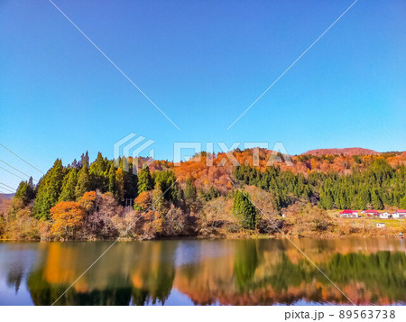 晩秋~山里の風景 晩秋~山里の風景 89563738
