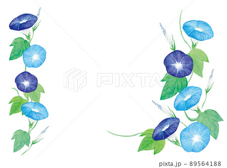 手書きのアサガオのフレームセットのイラスト素材 5641